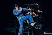 Jesse Garron's Tribute to Elvis photo