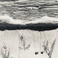Jeff Lord photo
