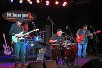 Tony Trahan and the BlueKrewe photo