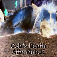 COBI'S DEATH photo