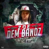 Z.O.E. MUZIK photo