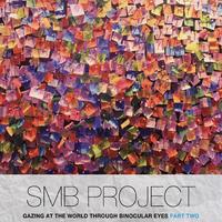 SMB Project (SMBP) photo