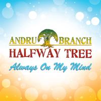Andru Branch & Halfway Tree photo