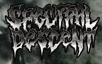Spectral Descent photo