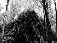 Spectral Descent photo