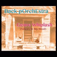 Back pOrchEstra photo