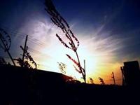 Mitsuaki photo
