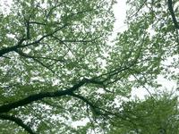 Mitsuaki photo