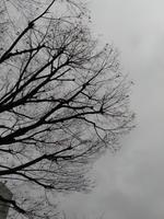 Mitsuaki photo