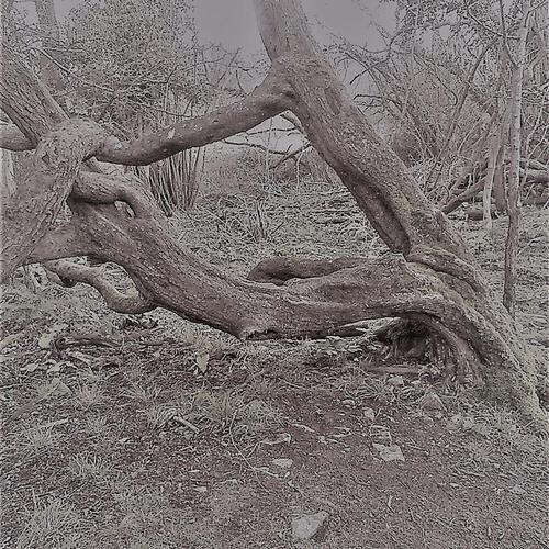 Stoplines & Byways EP cover