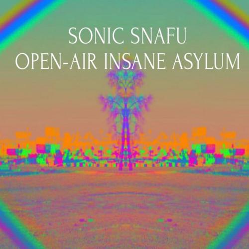Open-Air Insane Asylum cover