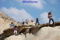 WildHorse photo