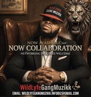 Wildlyfe J-Blood photo
