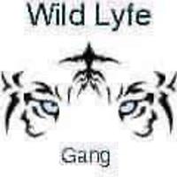 Wildlyfe J-Blood photo