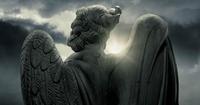 L'Ange Déçu photo