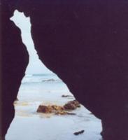 Tim Fatchen photo