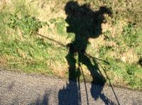 Pilgrim Soul photo