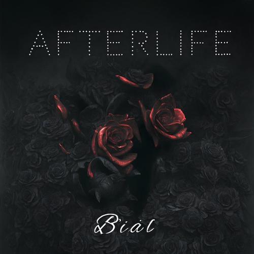 Afterlife cover