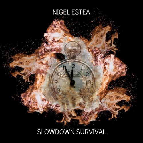 Slowdown Survival cover