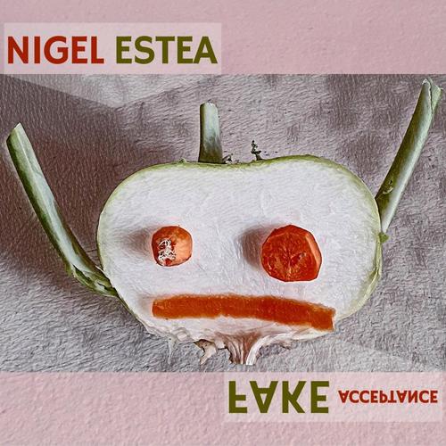 Fake Acceptance cover