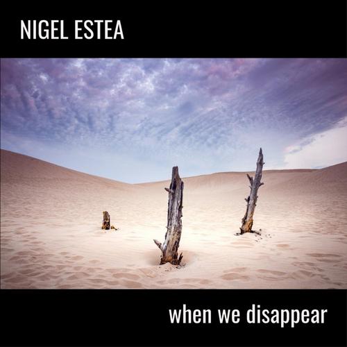 When We Disappear cover