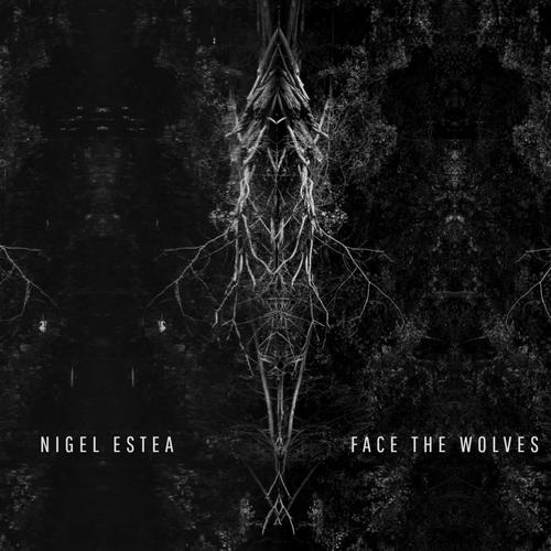 Face The Wolves cover