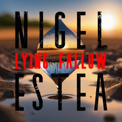 Lying Fallow cover