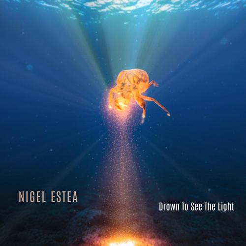 Drown To See The Light cover