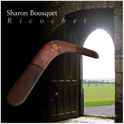 Ricochet cover