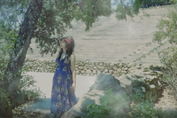 MockingBirdsandiego photo