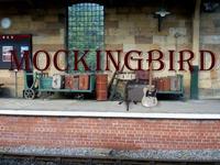 MockingBirdsandiego photo