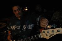 Venice All Stars photo