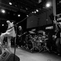 Venice All Stars photo