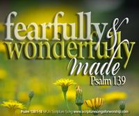 Scripture Songs For Worship (Mui Family) photo