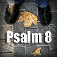 Scripture Songs For Worship (Mui Family) photo