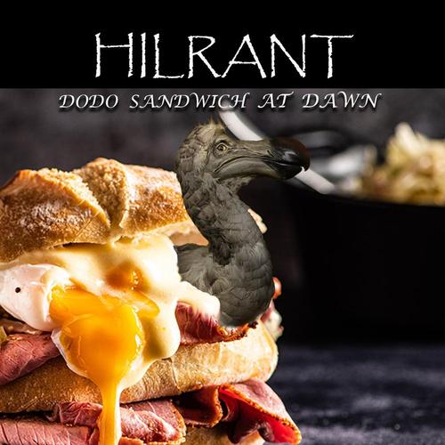 A DODO SANDWICH AT DAWN cover