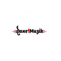 SANE1MUZIK photo