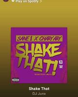 SANE1MUZIK photo