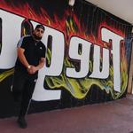 SANE1MUZIK