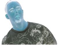 CaMo photo