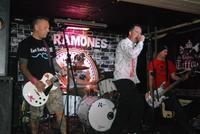 16 GUNS photo