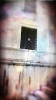 MYTE13CEM photo