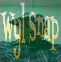 wyl snap photo