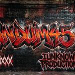 RANDUM45