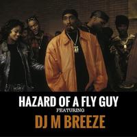 DJ M Breeze photo