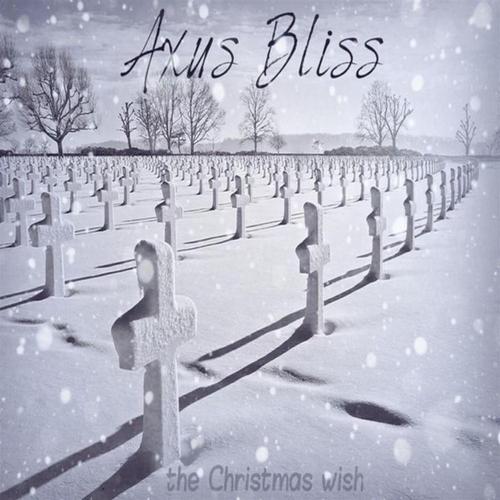 the Christmas wish cover