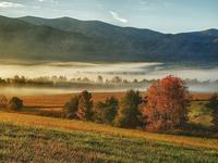 Todd Silva photo