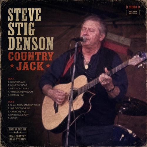 Songs in the key of Stig#2 cover