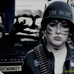 indifferentMonKeY
