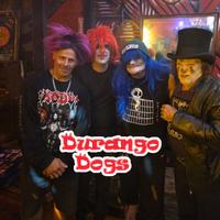 Durango Dogs photo